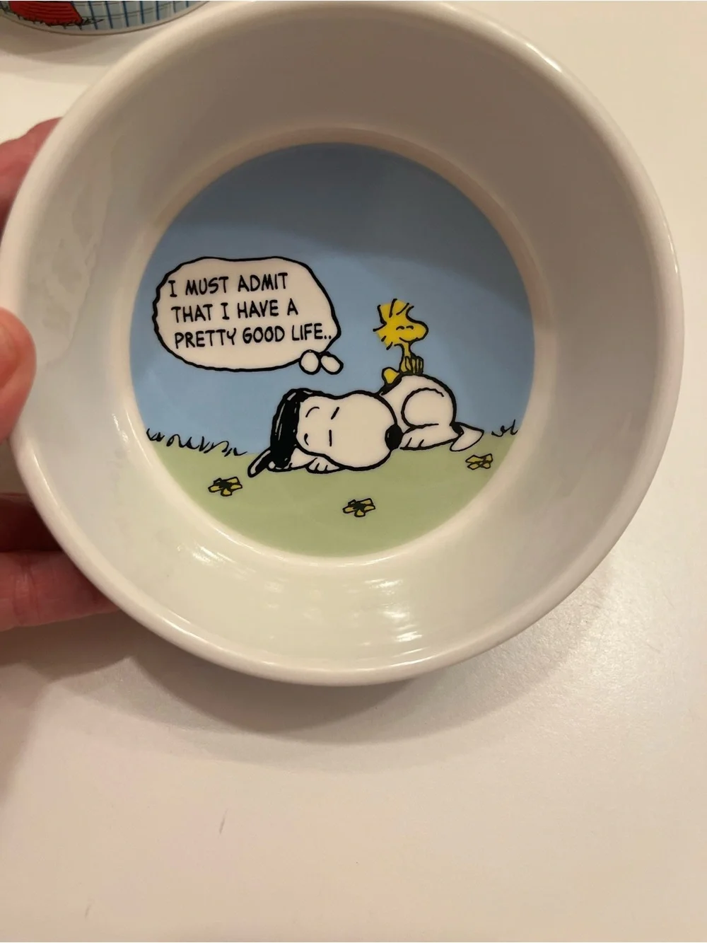 Peanuts Snoopy & Woodstock Ceramic Dog Bowls - White